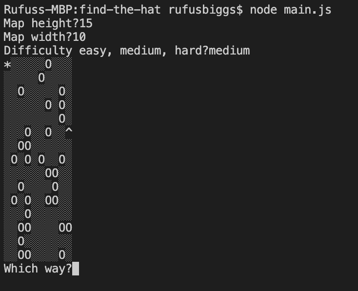 Image of the Find the Hat game.